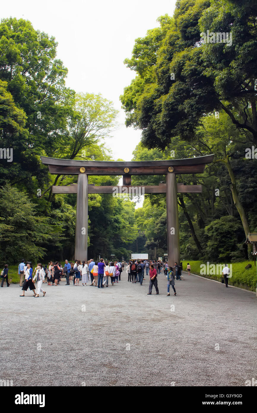 Tokio - Mai 2016: Traditionelle japanische Tor am Meiji-Schrein im Yoyogi Park am 28. Mai 2016 Stockfoto