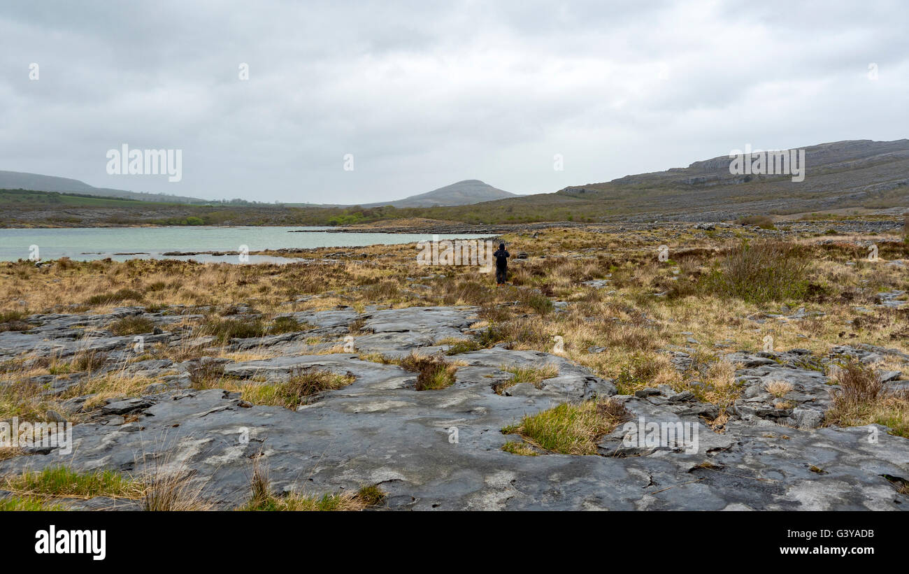 zerklüftete Landschaft des Burren in Irland Stockfoto