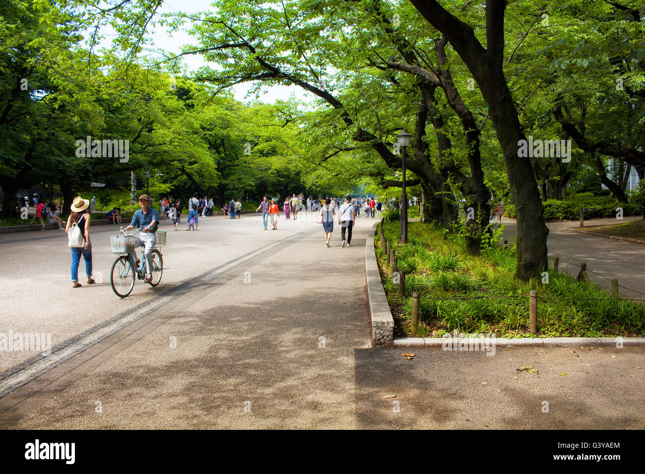 Tokio - Mai 2016: Menschen genießen Ueno-Park am 29. Mai 2016 Stockfoto