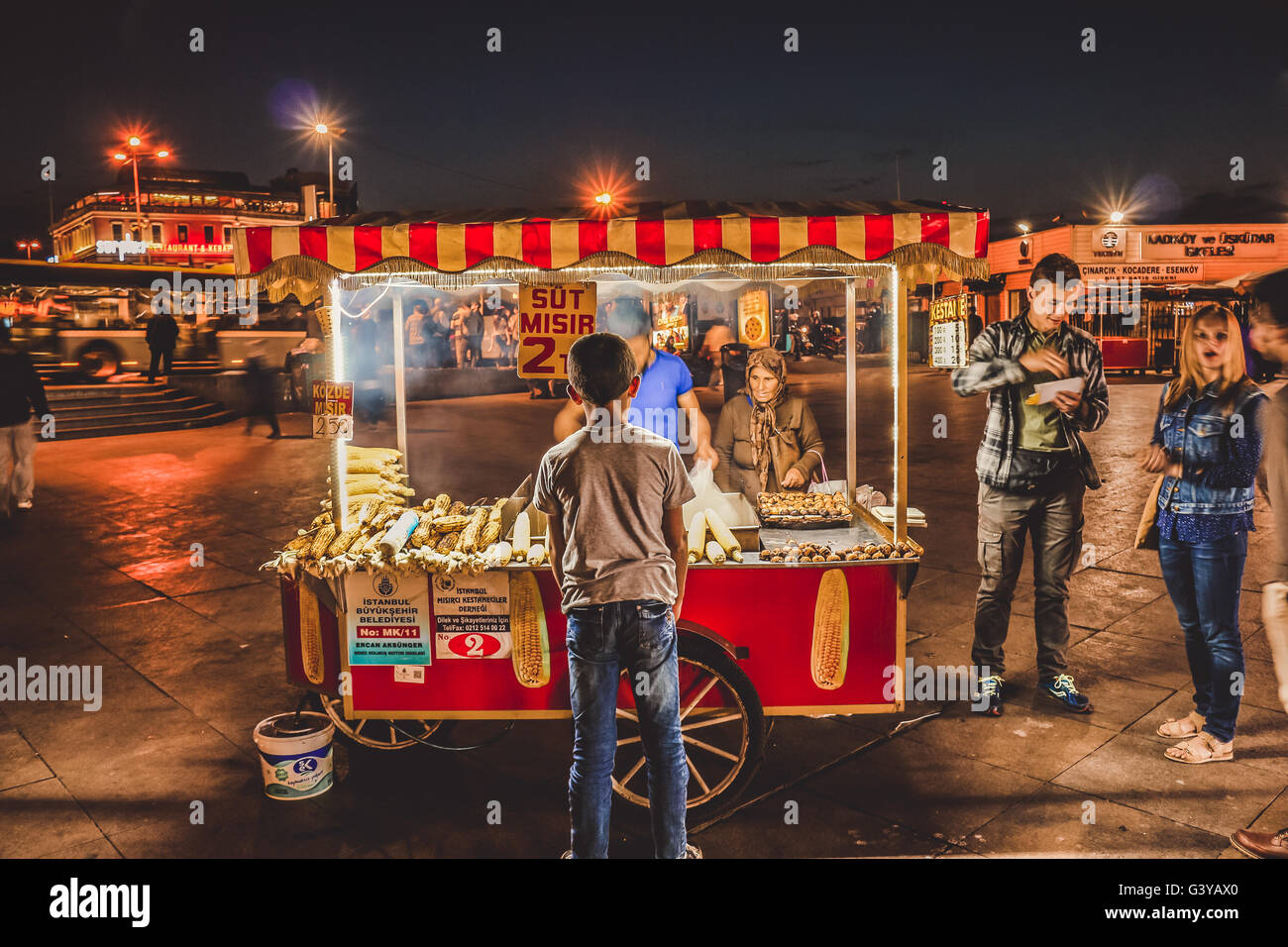 Mais-junge Stockfoto