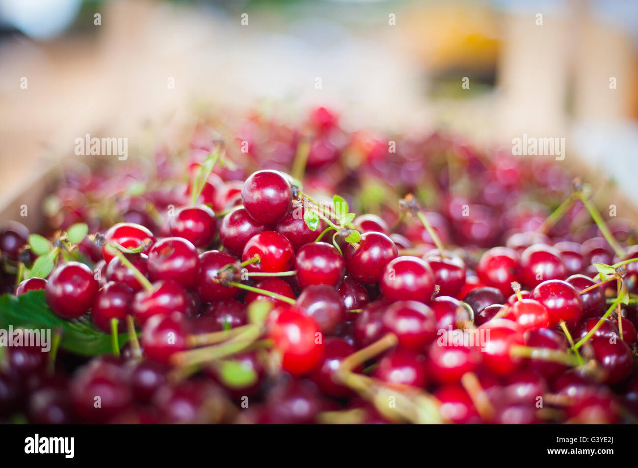 Viele rote Kirschen Obst Detail schließen sich, selektiven Fokus auf einem Marktstand Stockfoto