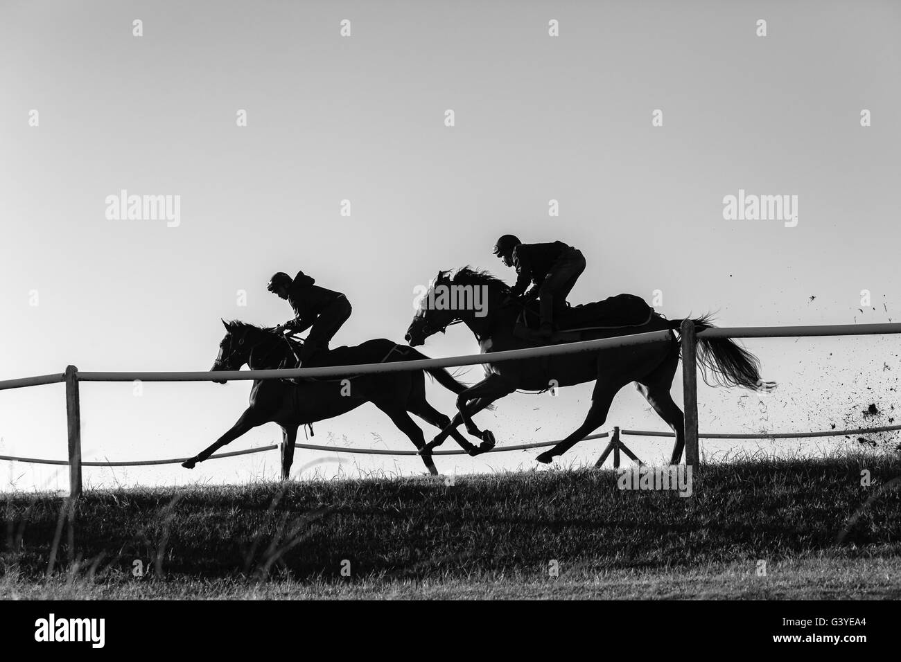 Rennpferde Fahrer Laufstrecken training Silhouette nicht identifizierten Actionfoto im Morgengrauen. Stockfoto