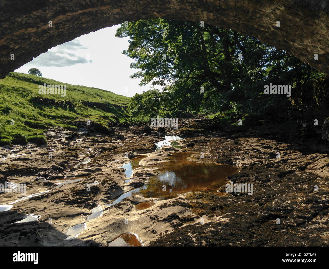Bach unter Brücke in Langstrothdale Chase, Upper Wharfedale in den Yorkshire Dales. Stockfoto