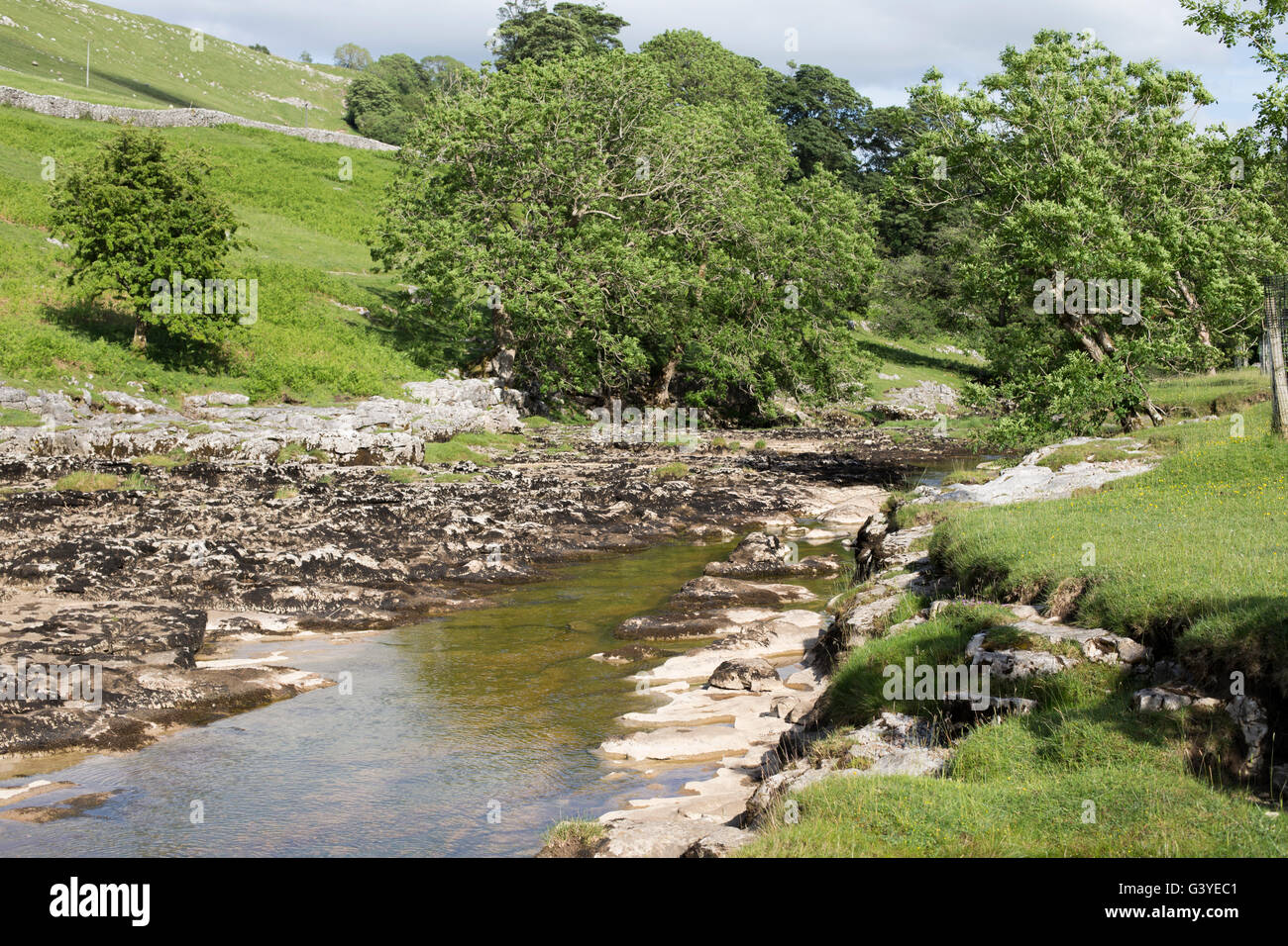 Strom des Wassers in Langstrothdale Chase, Upper Wharfedale in den Yorkshire Dales. Stockfoto