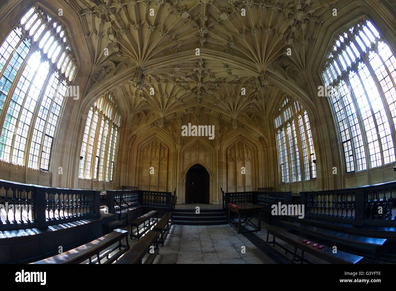 Divinity School mit gewölbter Decke, Bodleian Library, Oxford, Oxfordshire, England, Vereinigtes Königreich, Europa Stockfoto