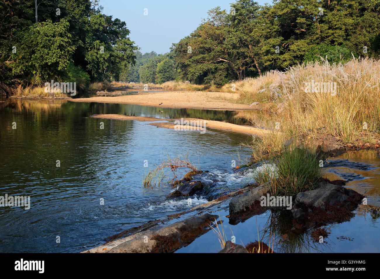 Landschaft mit einem Fluss und Wald Bäume, Kanha Nationalpark, Indien Stockfoto