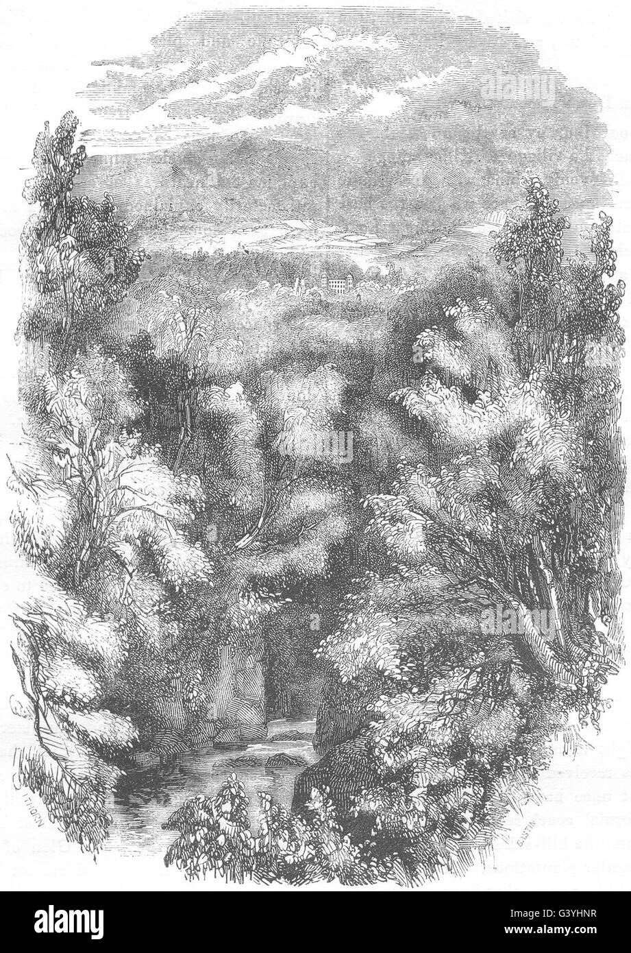 Irland: Der Dargle, antiken Druck 1850 Stockfoto