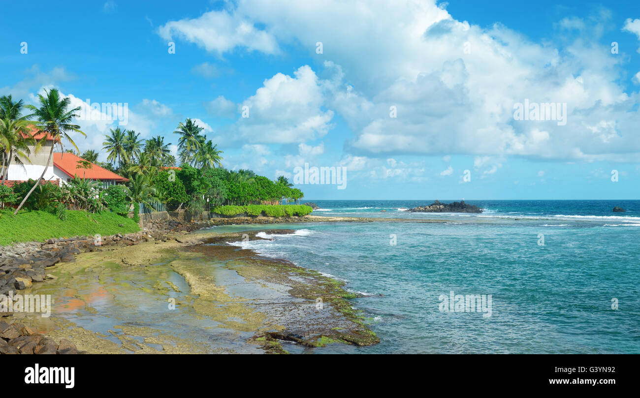 Ozeanstrand mit Palmen und blauer Himmel. Sri Lanka Stockfoto