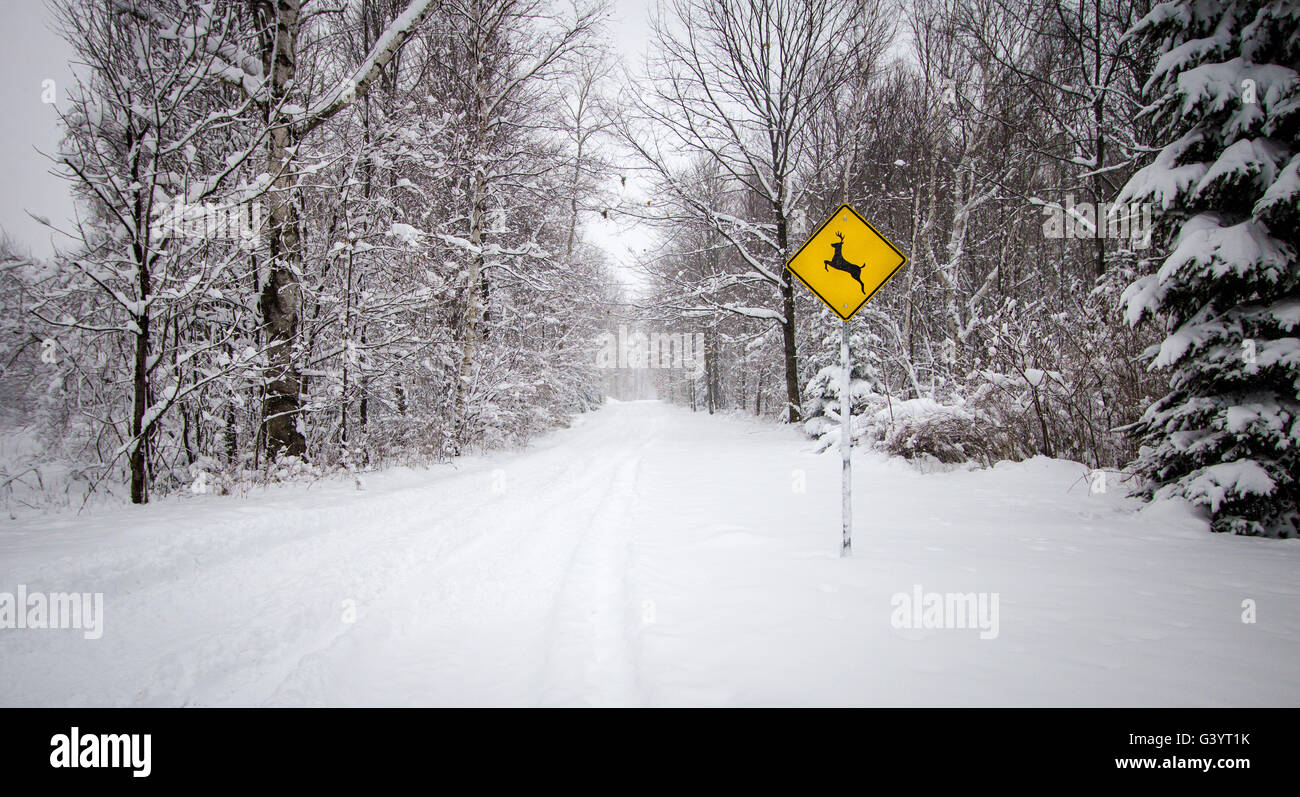 Schneebedeckte Straße mit Wildwechsel Zeichen. Verschneite Landstraße durch den Wald mit Hirsch Kreuzung Zeichen. Stockfoto