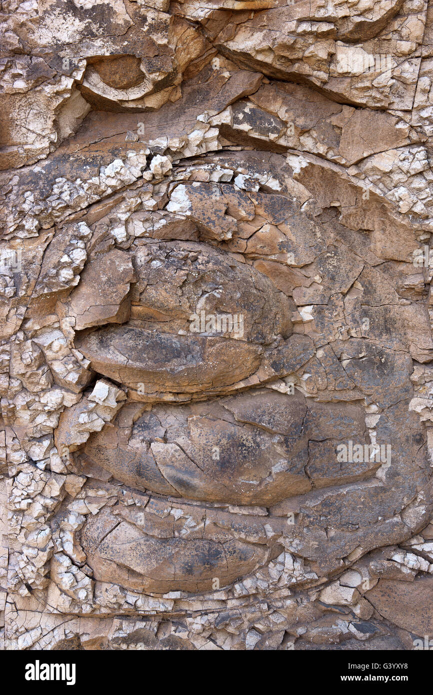 Vulkanischen Einschlüssen in einer Wand des Felsens Stockfoto