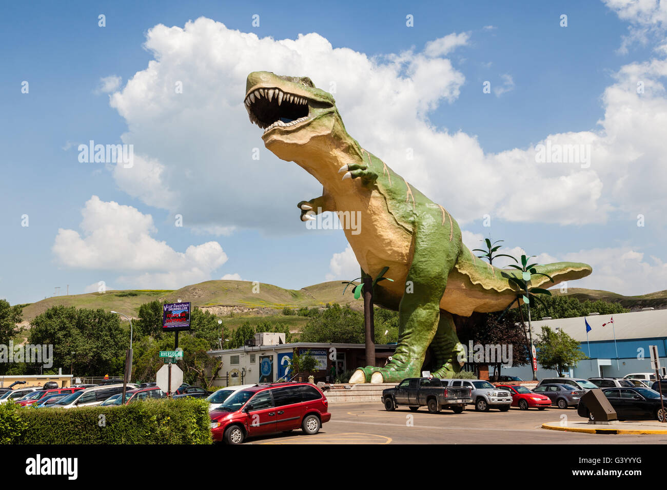 DRUMHELLER, Kanada - 7. Juli: Der weltweit größte Dinosaurier-Modell steht bei 86 ft hoch und 151 ft lange in Drumheller 7. Juli 2014. Stockfoto