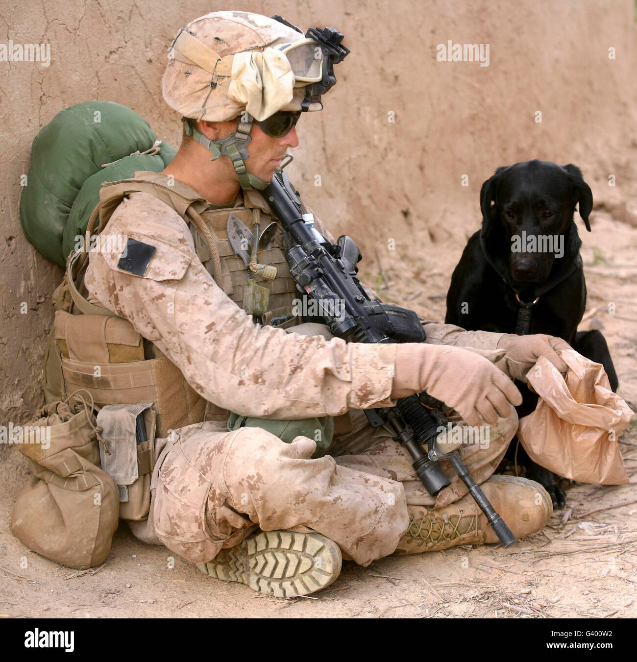 Ein Hundeführer gibt seinem Hund während einer Patrouille in Afghanistan Wasser. Stockfoto
