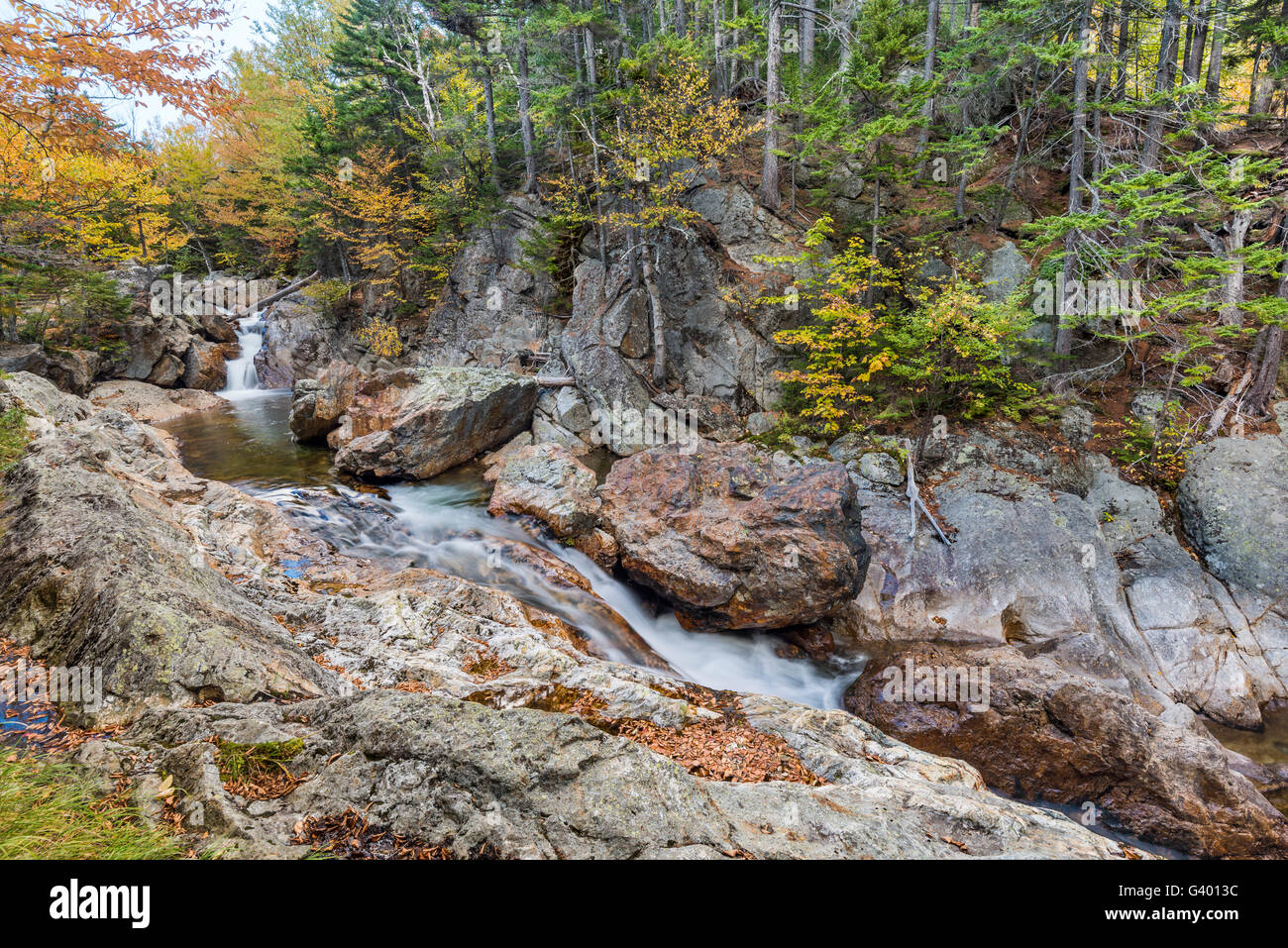 Ellis River, Carroll Co., White Mountain National Forest, NH Stockfoto
