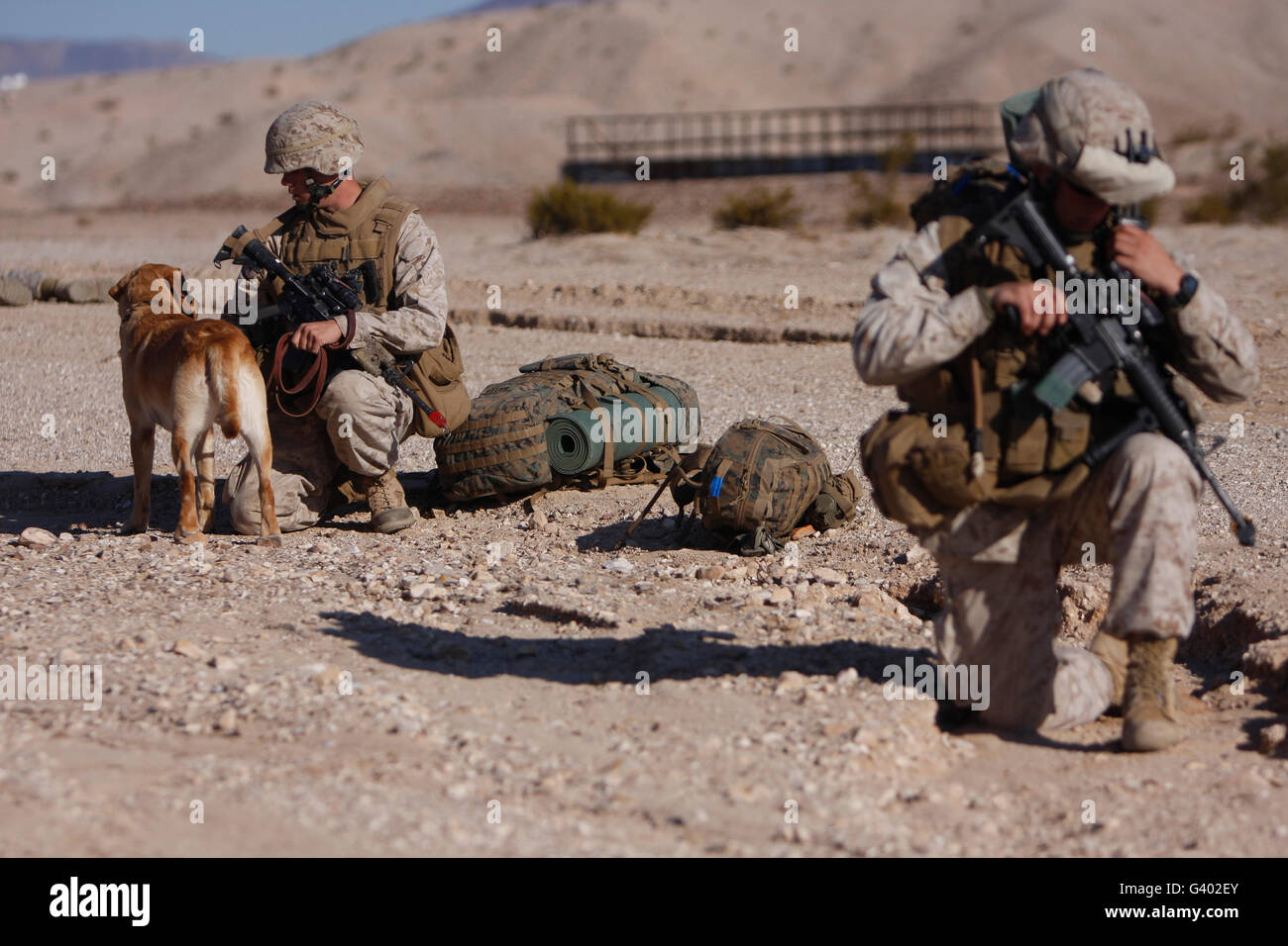 Ein Hundeführer und seine militärischen Gebrauchshund pause während einer Patrouille. Stockfoto