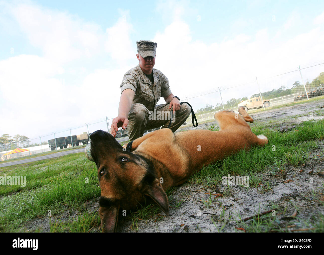 Ein militärischer Arbeitshund Handler nimmt seinen Hund für einen morgendlichen Spaziergang. Stockfoto