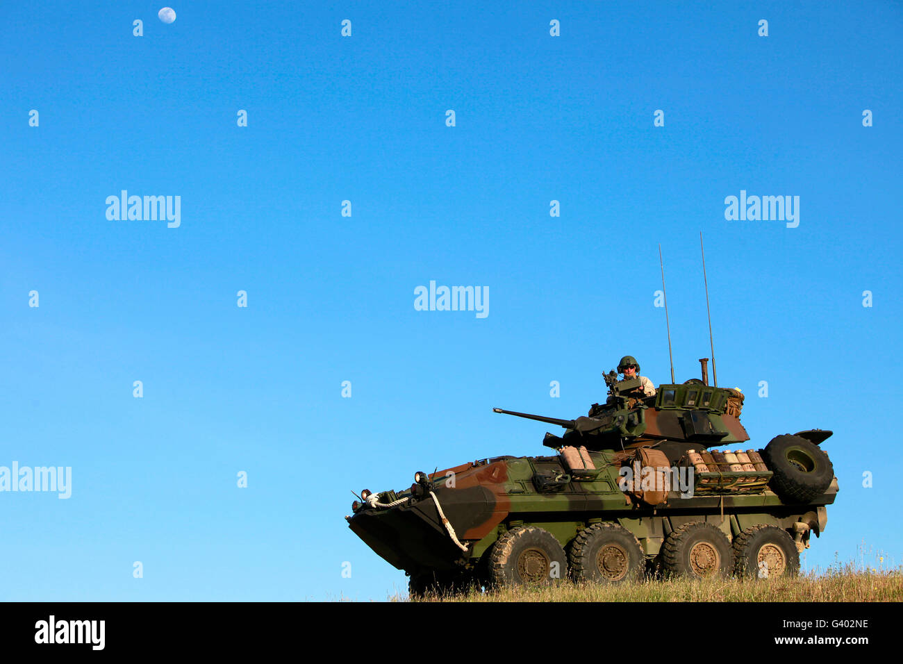 Ein Aufklärungsfahrzeug LAV-25 Rüstung. Stockfoto