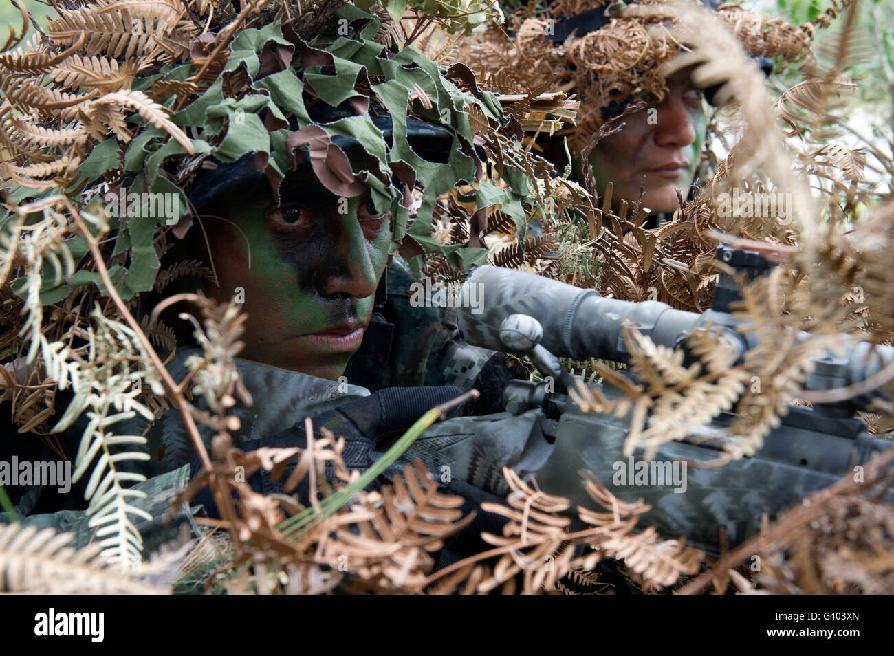 TIGRES-Kommandos zeigen ihre Tarnung in Honduras. Stockfoto