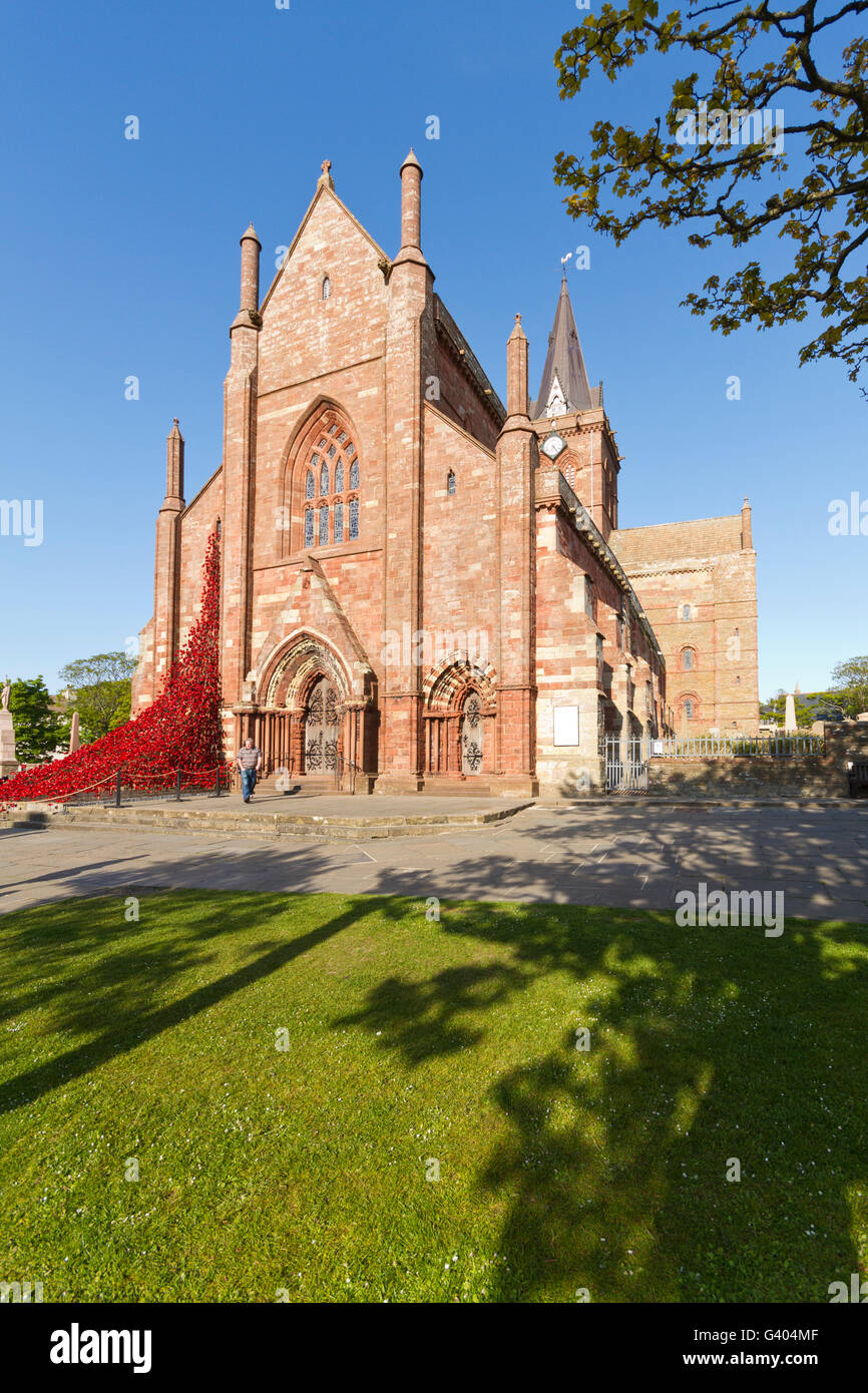 St. Magnus Kathedrale Stockfoto