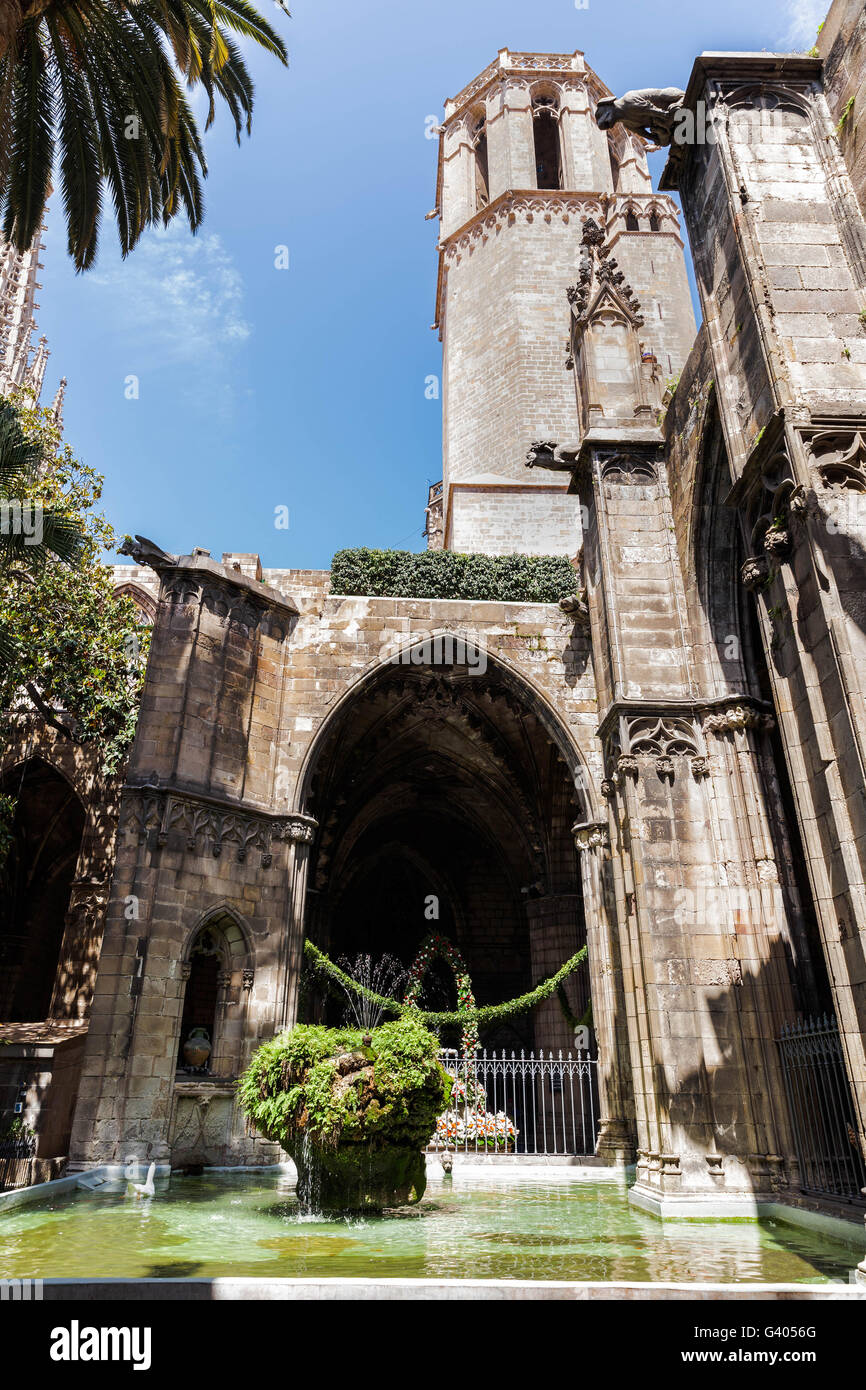 Brunnen im Atrium der Santa Eulalia Kathedrale in Barcelona, Katalonien, Spanien. Stockfoto