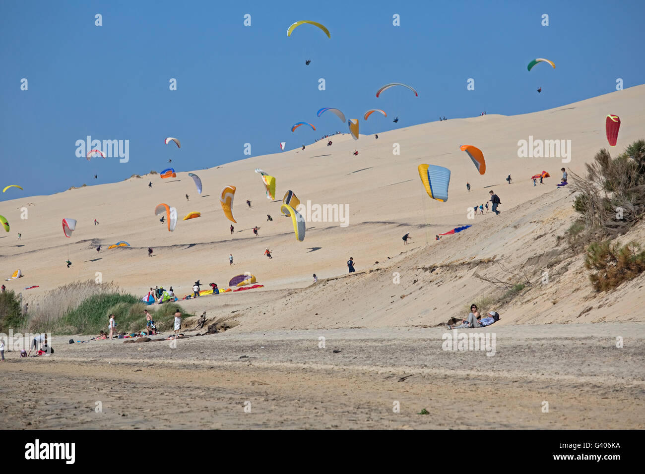Viele Gleitschirme fliegen aus Düne von Pyla Südfrankreich Stockfoto