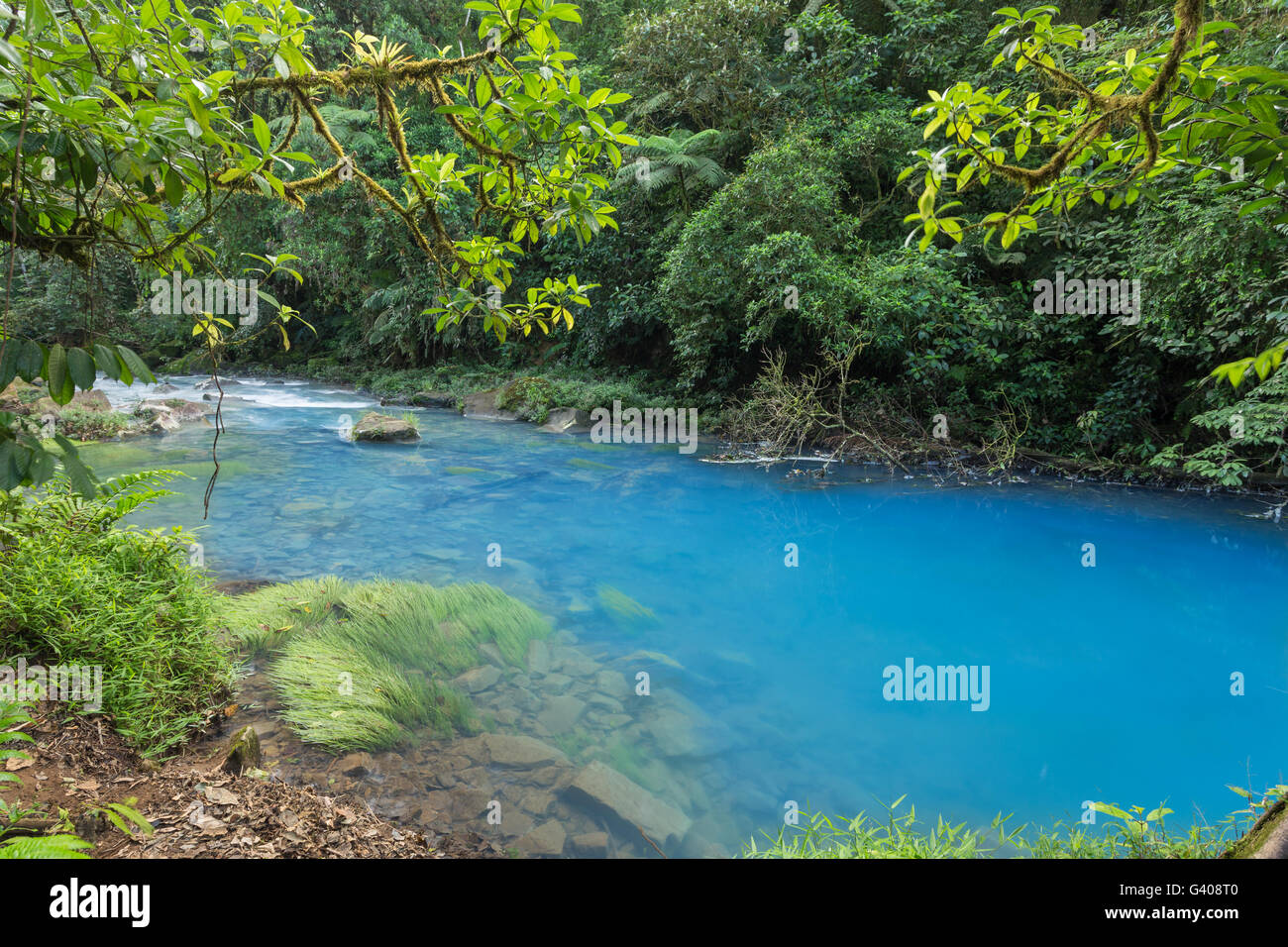 Blick auf den malerischen blauen Fluss der Amazonas-Dschungel Stockfoto