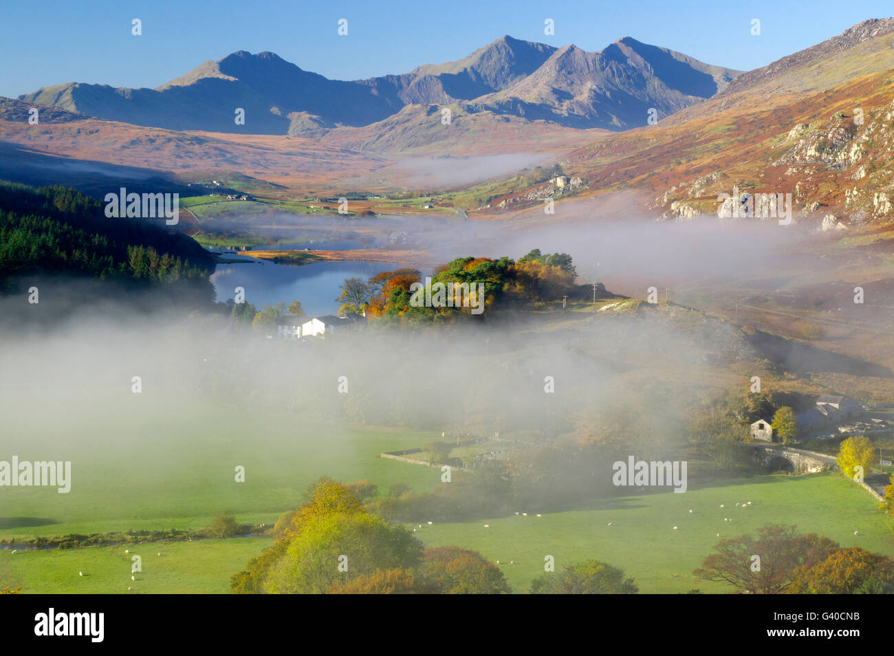 Morgennebel, Capel Curig Snowdonia, Stockfoto