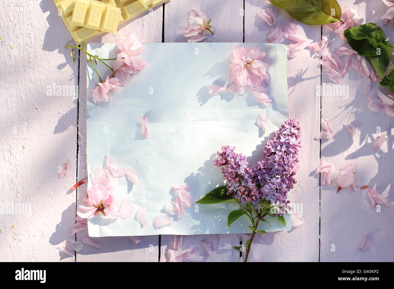 Schön, Frühling Blumenkarte mit japanischen Kirsche blühenden Blumen Stockfoto