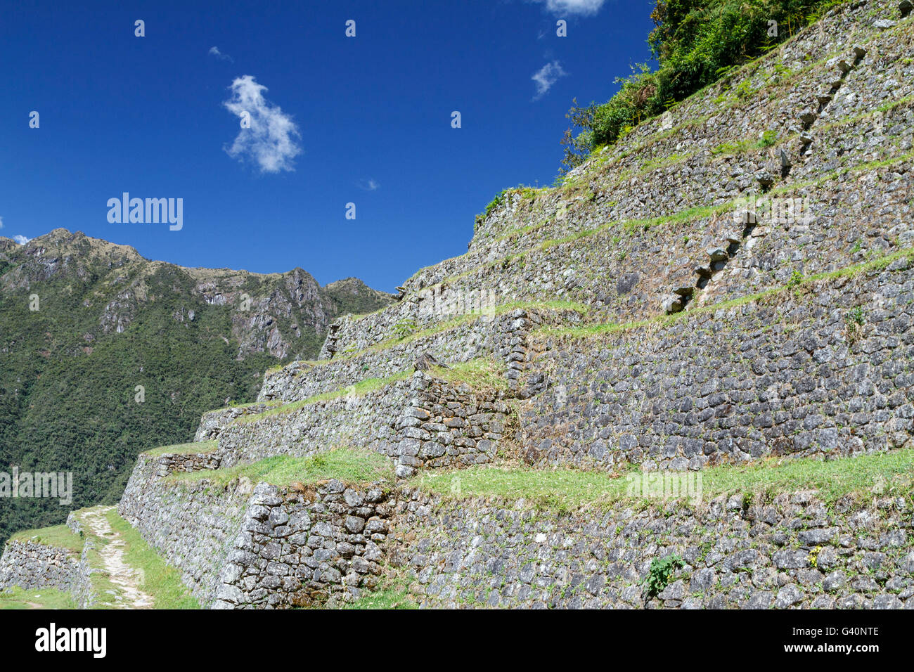 Intipata Camino inca -Fotos und -Bildmaterial in hoher Auflösung – Alamy