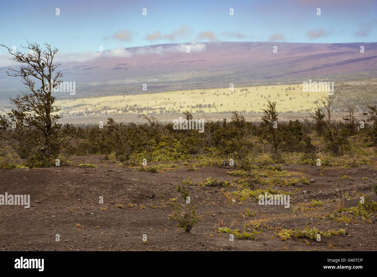 Mit Blick auf den Hängen des Mauna Loa Stockfoto