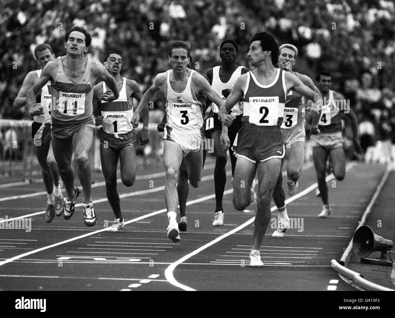 Sebastian Coe (Nr. 2), der es in 1 min 46.13 Sekunden zu einem komfortablen Sieg bei den Herren 800 Meter der Peageot Talbot Games im Crystal Palace gebracht hat. Er gewann drei Meter vor den Briten Steve Heard (11) und Steve Crabb (3) und kämpfte durch das internationale Qualitätsfeld um den Platz zwei. Stockfoto