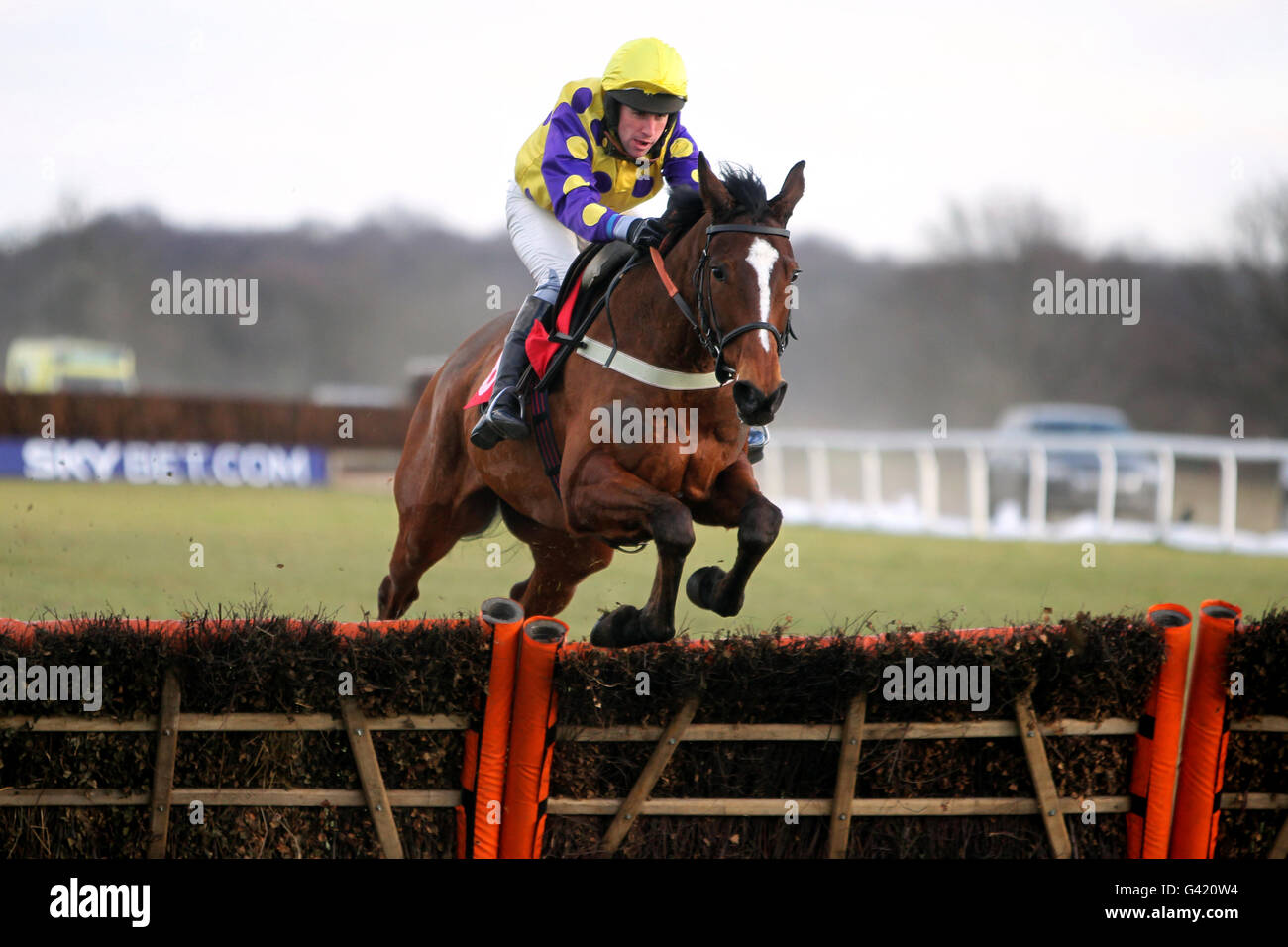 Pferderennen Sie - Skybet Chase Meeting - Doncaster Racecourse Stockfoto