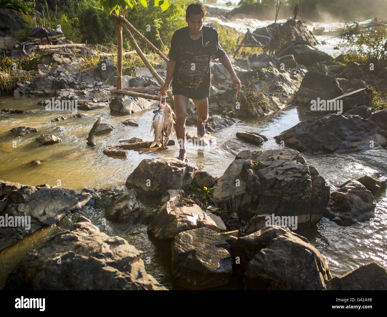 18. Juni 2016 - Don Khone, Champasak, Laos - Spaziergänge ein Fischer mit seinem Fang zurück zum Ufer bei Khon Pa Soi Wasserfällen, auf der Ostseite des Don Khon. Es ist die kleinere der zwei Wasserfälle in Don Khon. Fischer haben ein ausgeklügeltes System von Hängebrücken über die Fälle konstruiert, die sie benutzen, um die Fischfallen, die sie gesetzt. Fischer in der Gegend sind mit geringeren Erträgen und kleinere Fische, streitenden ihre Art zu Leben bedroht. Der Mekong ist eines der artenreichsten und produktivsten Flüsse auf der Erde. Es ist ein globaler Hotspot für Süßwasserfische: mehr als 1.000 Arten dort registriert sec Stockfoto