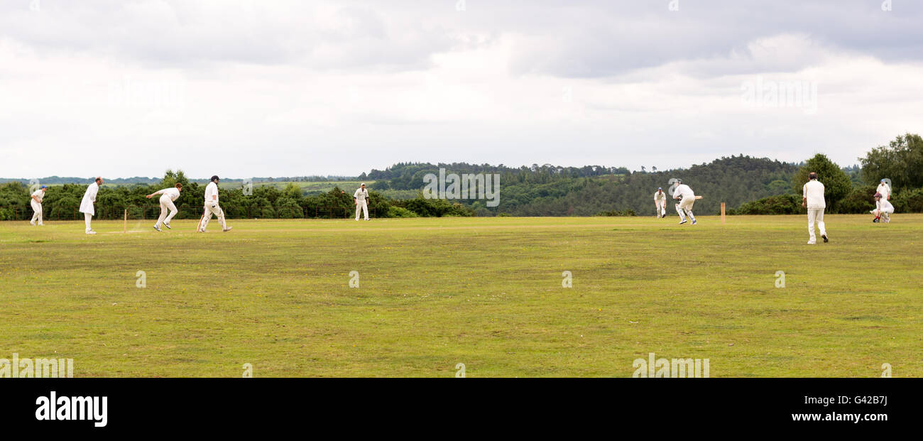 Village Green Cricket Match, Godshill, New Forest, Hampshire, Großbritannien. Stockfoto