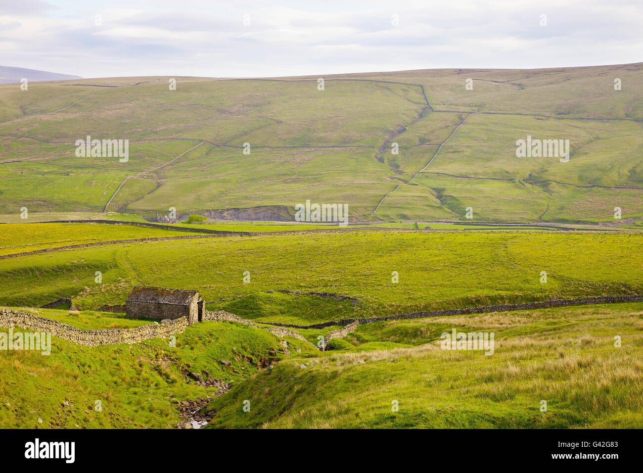 Wald in Teesdale. Alte Scheune und Trockenmauern Wände. North Pennines, Durham Dales, County Durham, England, Vereinigtes Königreich, Europa. Stockfoto