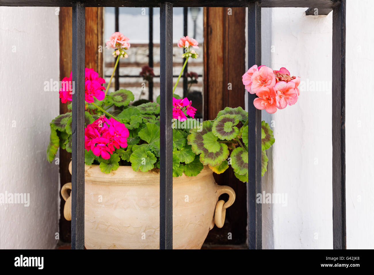 Geranien Blumen in einen Topf geben und Rost. Weiße Dorf Mijas, Provinz Malaga, Costa Del Sol, Andalusien, Spanien-Europa Stockfoto