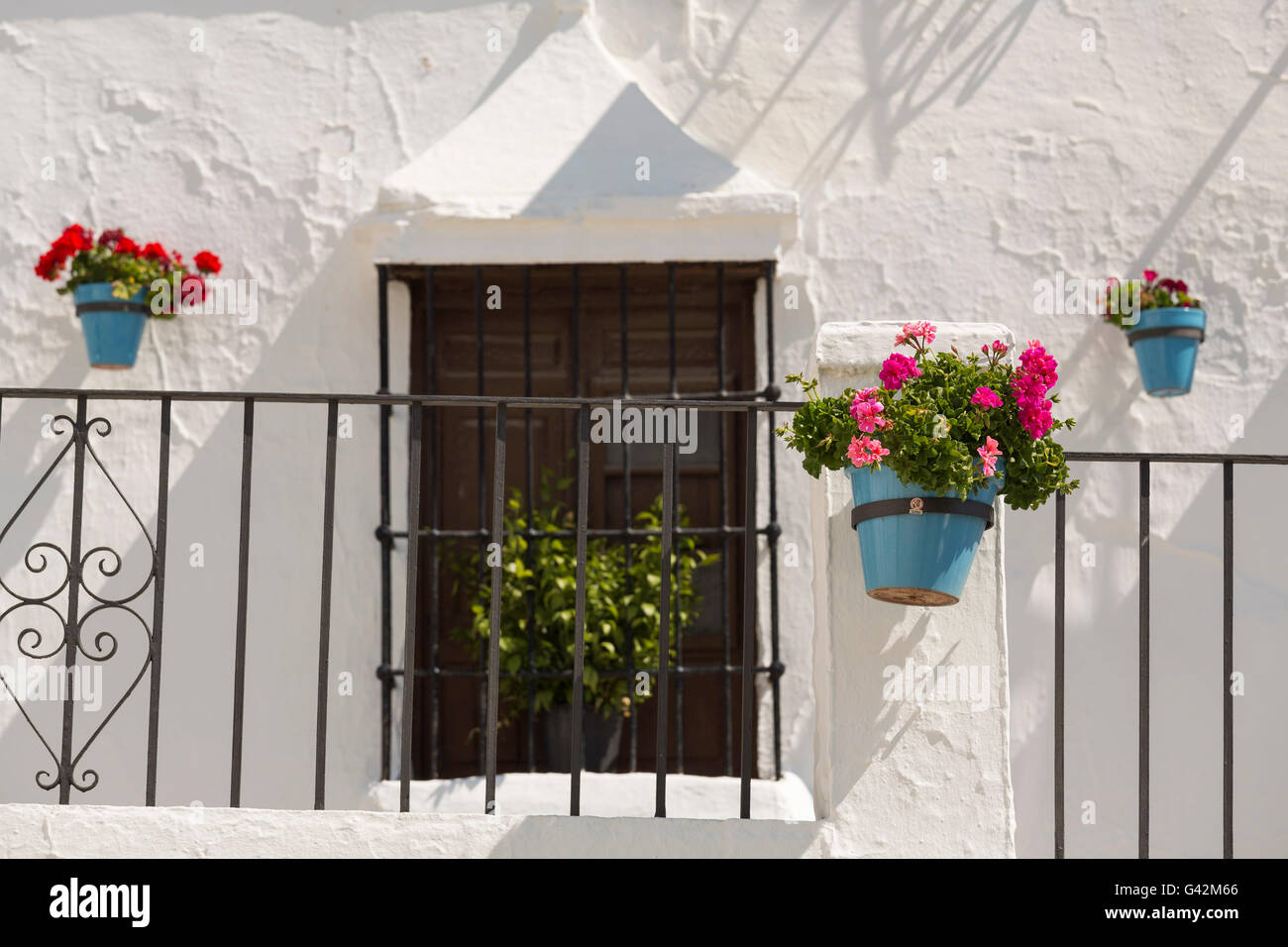 Geranien Blumen in einem Topf. Weiße Dorf Mijas, Provinz Malaga, Costa Del Sol, Andalusien, Spanien-Europa Stockfoto