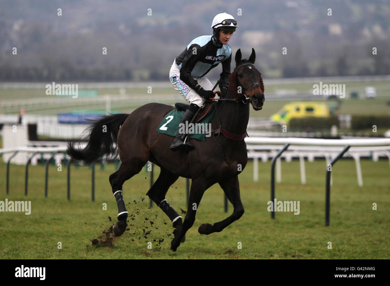 Fair Along, geritten von Jockey Rhys Flint, der zum Posten gehen wird Vor dem Rewards4Racing Cleeve Hurdle Race Stockfoto