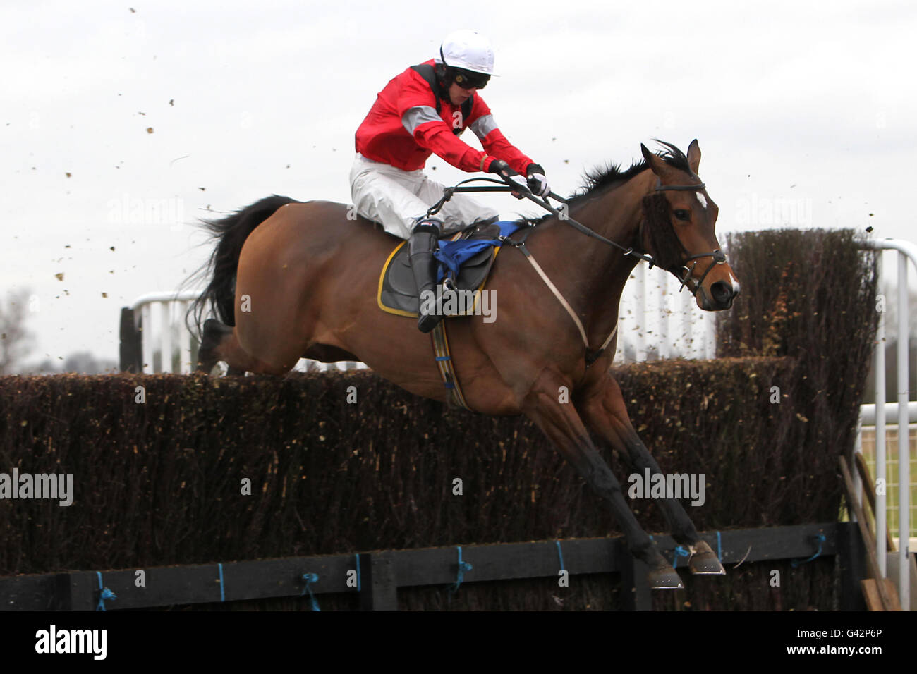 Corredor Sun wird von Jockey David England in Aktion gefahren Die Molson Coors Kunden Handicap Steeple Chase Stockfoto