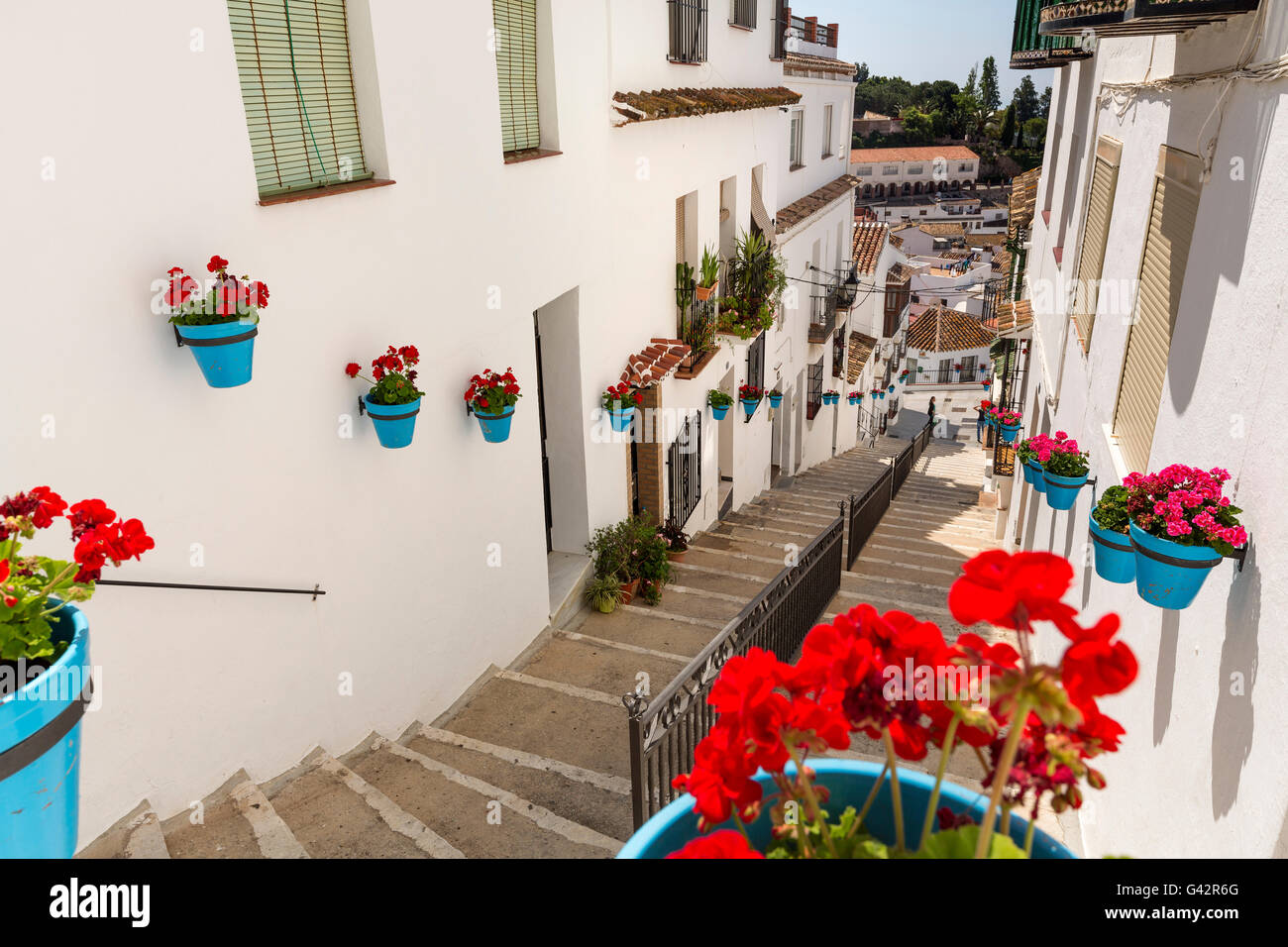 Geranien Blumen in einen Topf geben und die Straße. Weiße Dorf Mijas, Provinz Malaga, Costa Del Sol, Andalusien, Spanien-Europa Stockfoto