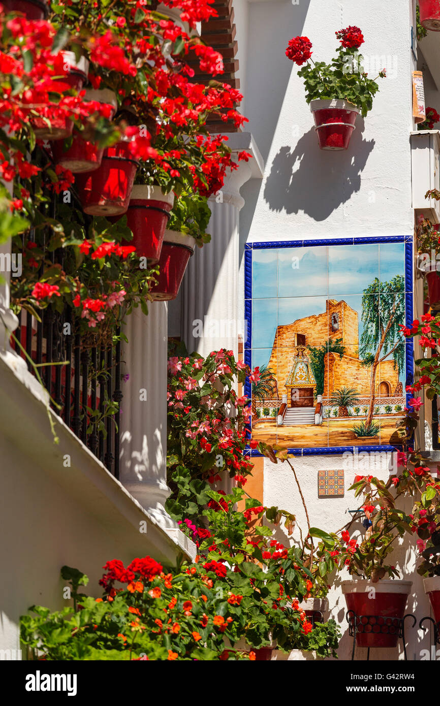 Geranien Blumen in einem Topf. Weiße Dorf Mijas, Provinz Malaga, Costa Del Sol, Andalusien, Spanien-Europa Stockfoto