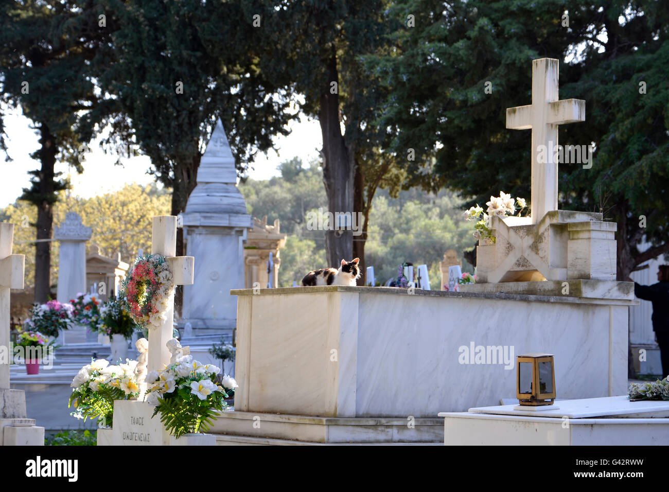 Friedhof St. Panteleimon Mytilene, Lesbos Griechenland Stockfoto