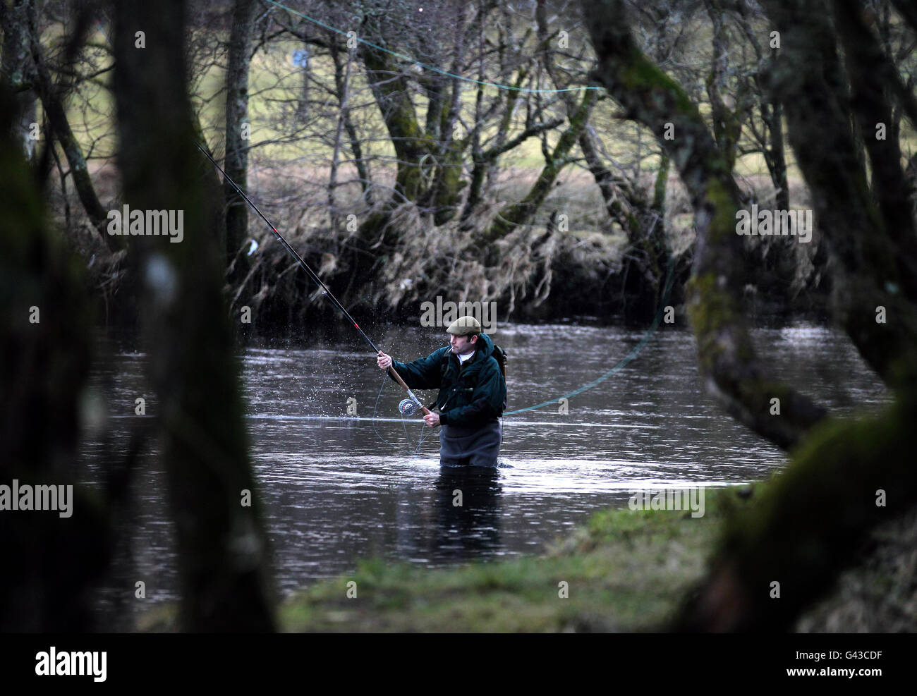 Ein Fischer auf dem Fluss Teith in Callander, während die Lachsfischsaison beginnt. Stockfoto