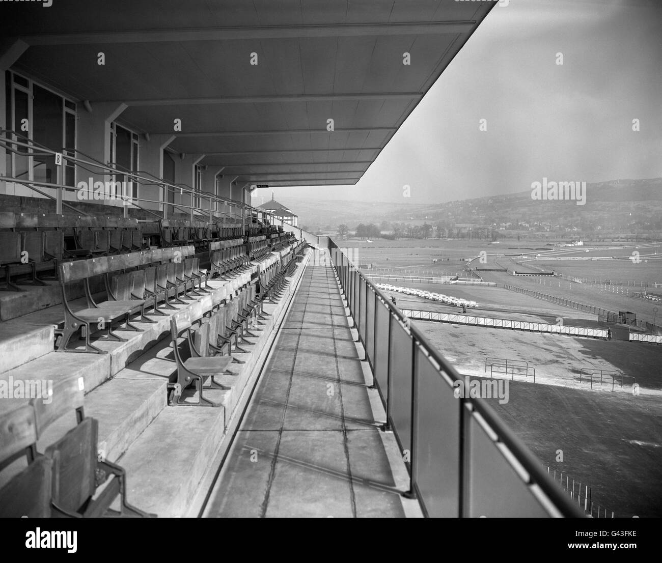 Pferderennen Sie-Cheltenham Racecourse Stockfoto