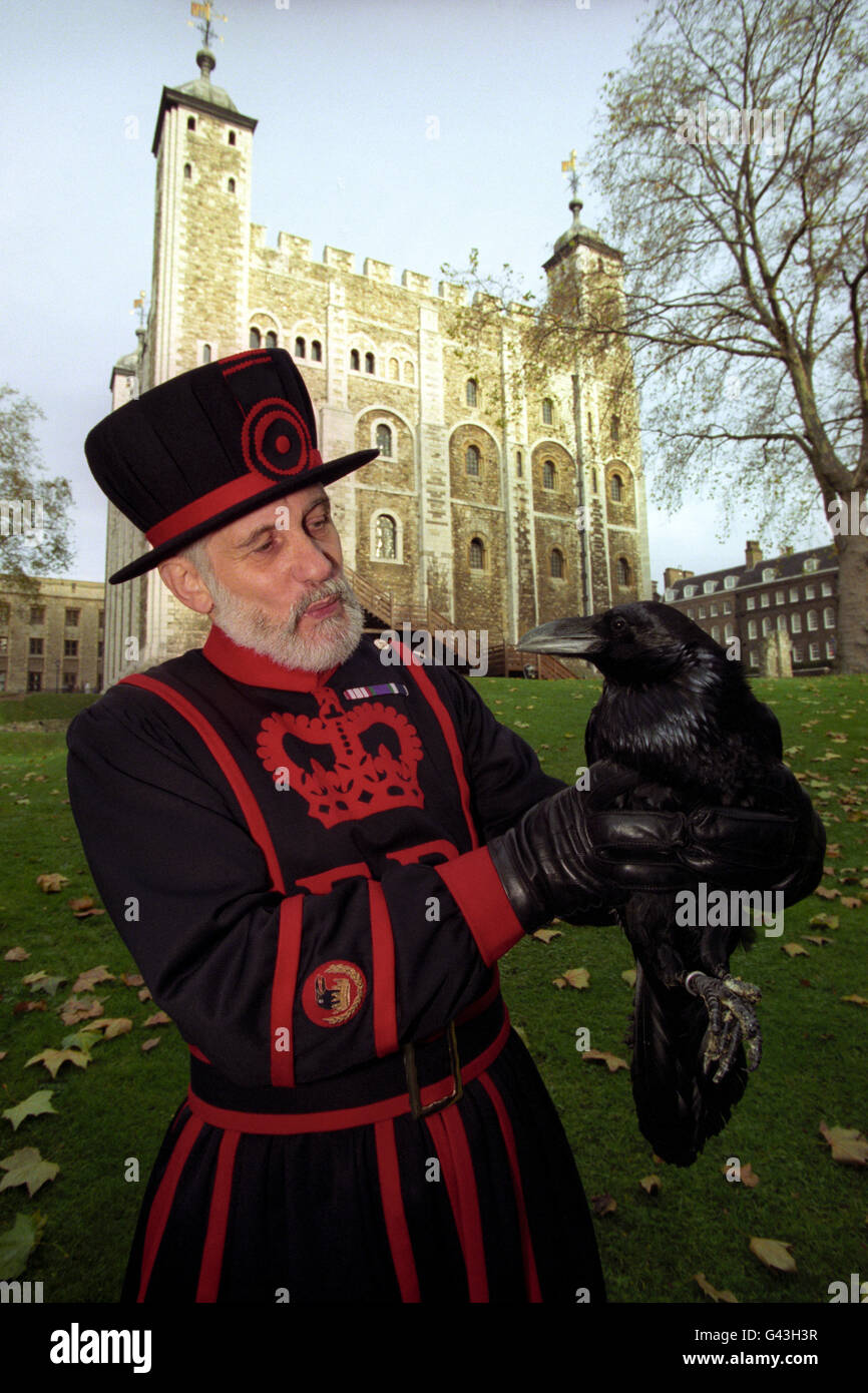 Yeoman Raven Meister David Cope führt Odin den Raben in den Tower of London ein. Odin und ein anderer Rabe, Thor, beide im Alter von vier Jahren, wurden gebracht, um Charlie zu ersetzen, der im August starb, und die Gesamtzahl der Vögel im Turm auf neun zu bringen. Stockfoto
