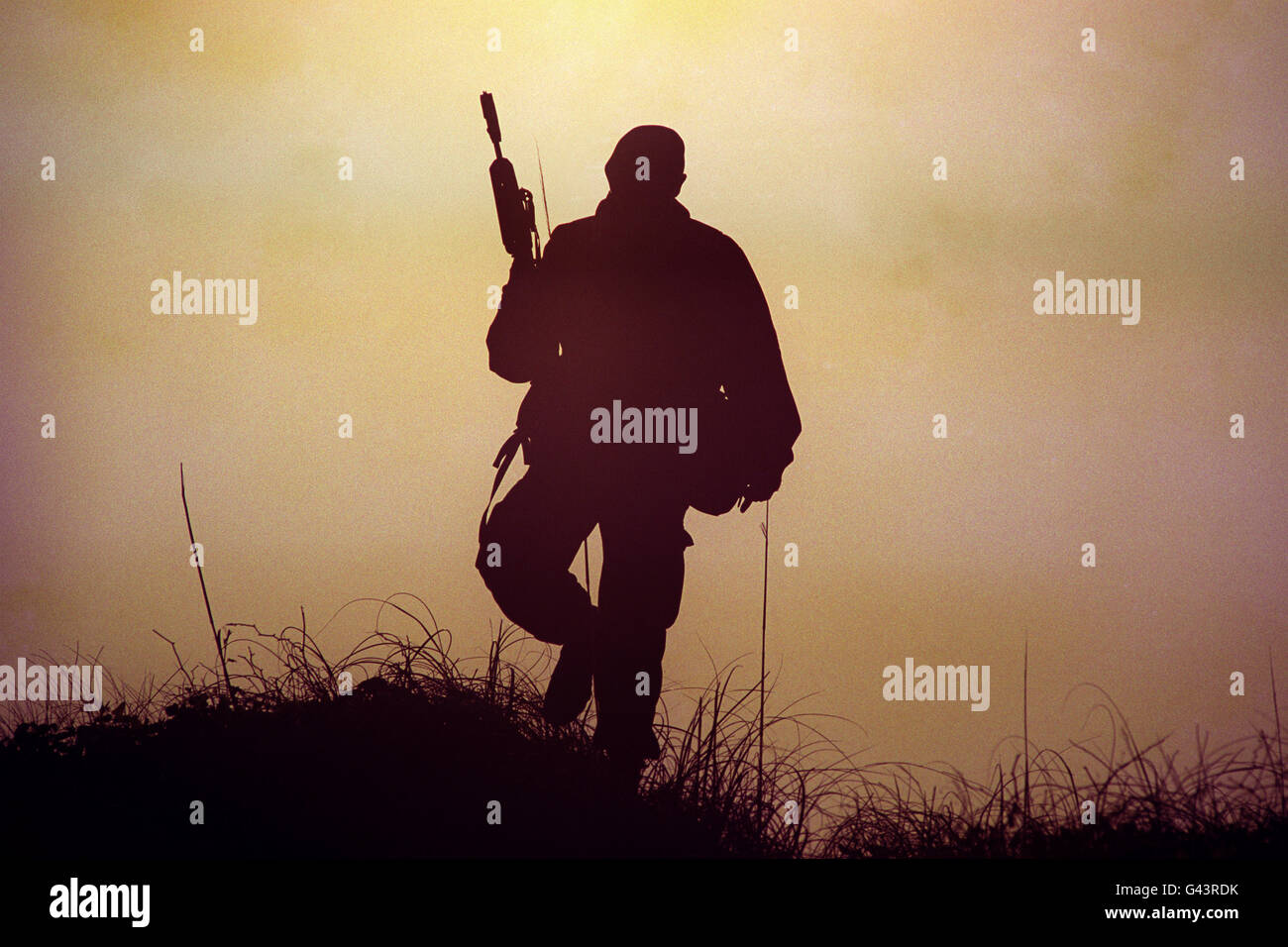 Lila Stern ausüben Stockfoto