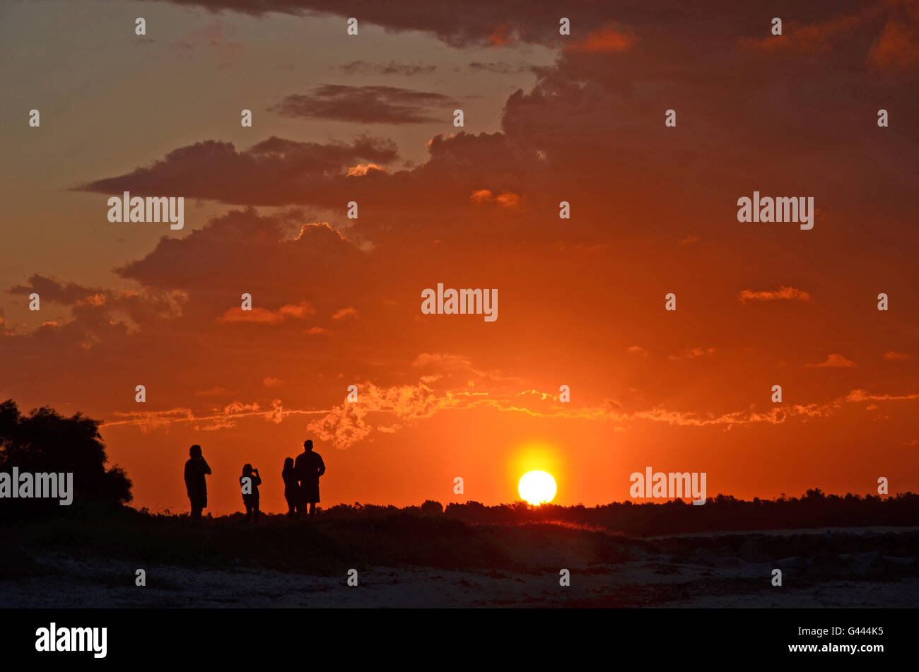 Silhouette von vier Personen (zwei Paare) den leuchtenden orange Sonnenuntergang an einem australischen Strand Stockfoto