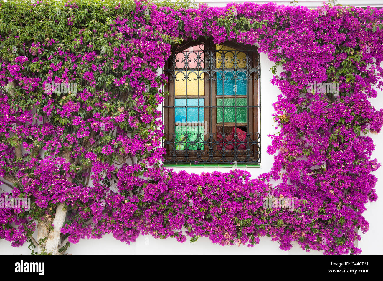Bougainvillea Spectabili, Grillgelegenheiten und farbige Gläser Fenster. Pueblo Lopez, Fuengirola. Malaga Costa Del Sol, Andalusien Stockfoto