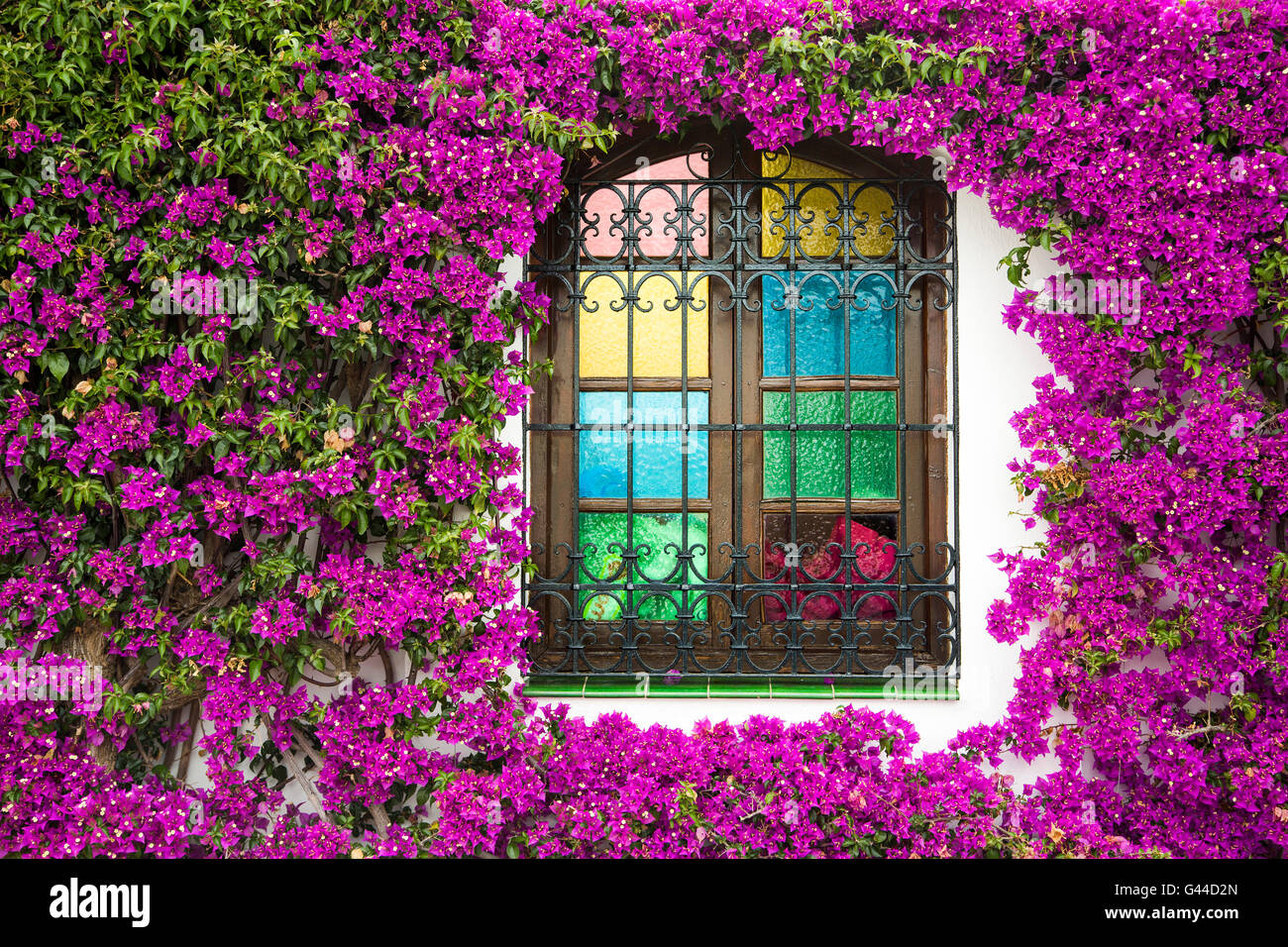 Bougainvillea Spectabili, Grillgelegenheiten und farbige Gläser Fenster. Pueblo Lopez, Fuengirola. Malaga Costa Del Sol, Andalusien Stockfoto