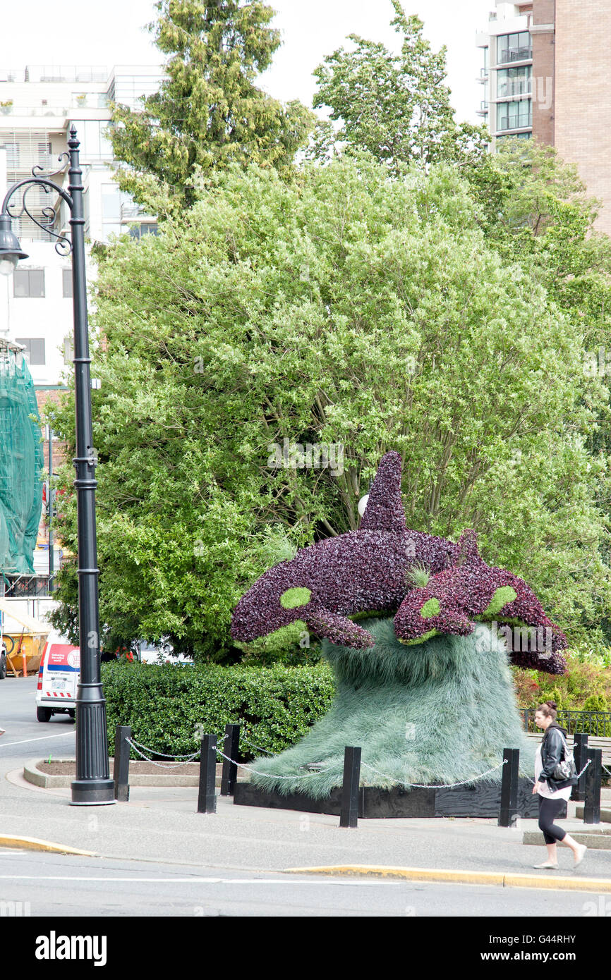 Orca Blume Scupture, Victoria, Britisch-Kolumbien Stockfoto