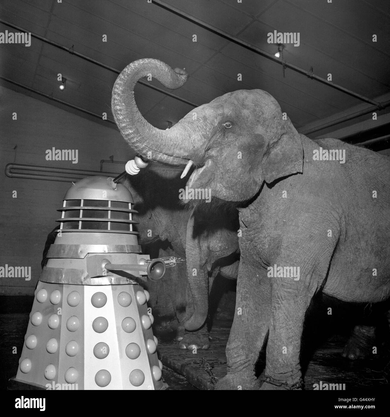 Fernsehen - BBC TV - Dr Who - Belle Vue Zirkus, Manchester Stockfoto